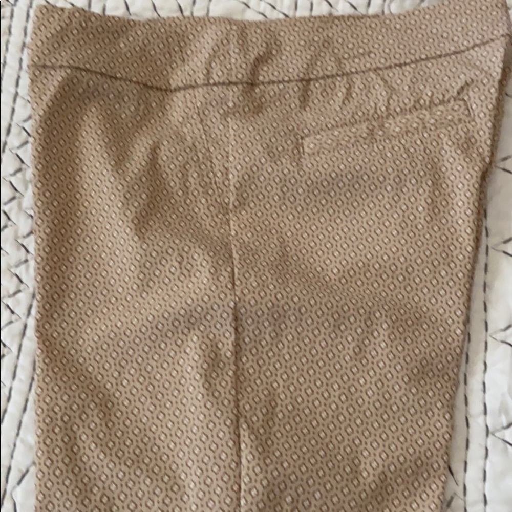 Fashion Capris